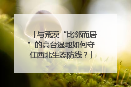 与荒漠“比邻而居”的高台湿地如何守住西北生态防线？