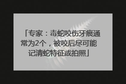 专家：毒蛇咬伤牙痕通常为2个，被咬后尽可能记清蛇特征或拍照