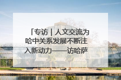 专访｜人文交流为哈中关系发展不断注入新动力——访哈萨克斯坦文化与信息部部长巴拉耶娃