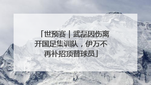 世预赛｜武磊因伤离开国足集训队，伊万不再补招顶替球员