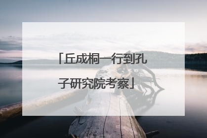 丘成桐一行到孔子研究院考察