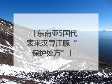 东南亚5国代表来汉寻江豚“保护处方”
