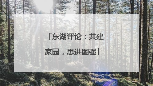 东湖评论：共建家园，思进图强