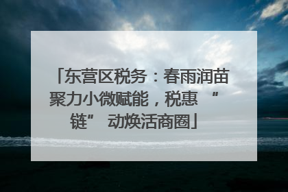 东营区税务：春雨润苗聚力小微赋能，税惠 “链” 动焕活商圈