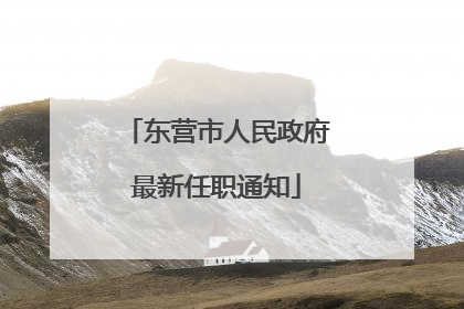 东营市人民政府最新任职通知