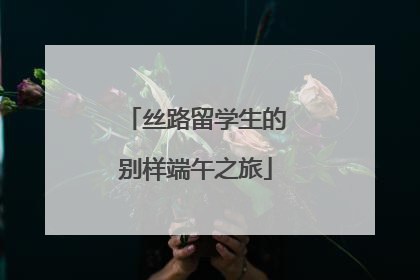 丝路留学生的别样端午之旅