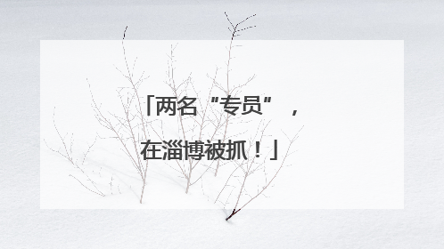 两名“专员”，在淄博被抓！