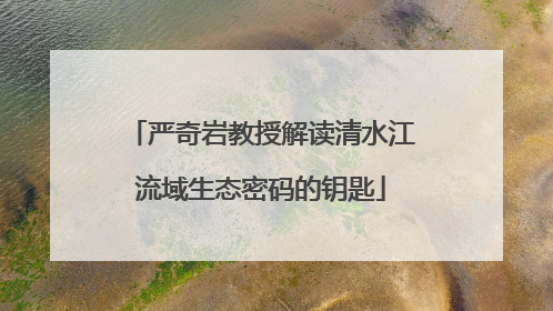 严奇岩教授解读清水江流域生态密码的钥匙