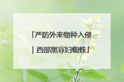 严防外来物种入侵｜西部黑寡妇蜘蛛
