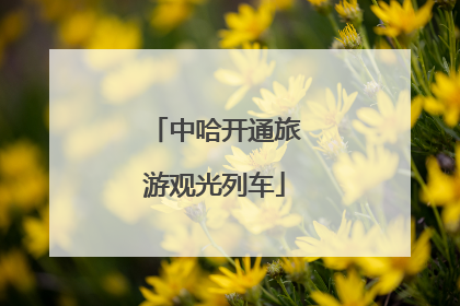 中哈开通旅游观光列车