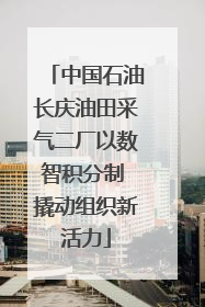 中国石油长庆油田采气二厂以数智积分制 撬动组织新活力