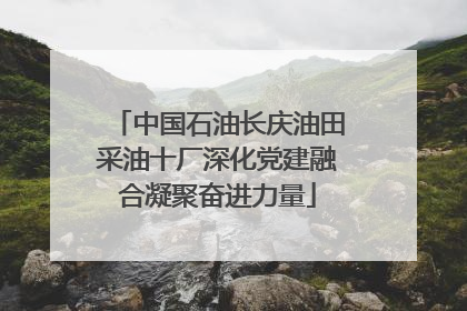 中国石油长庆油田采油十厂深化党建融合凝聚奋进力量