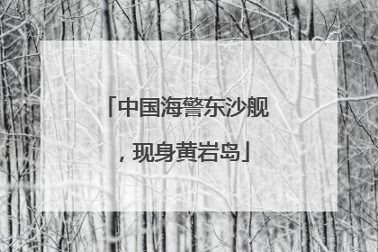 中国海警东沙舰，现身黄岩岛