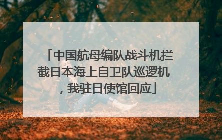 中国航母编队战斗机拦截日本海上自卫队巡逻机，我驻日使馆回应