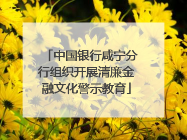 中国银行咸宁分行组织开展清廉金融文化警示教育