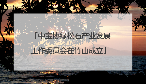 中宝协绿松石产业发展工作委员会在竹山成立