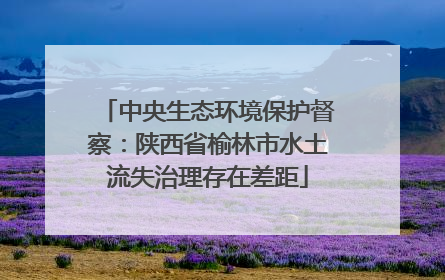 中央生态环境保护督察：陕西省榆林市水土流失治理存在差距