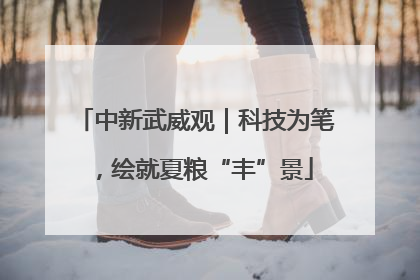 中新武威观｜科技为笔，绘就夏粮“丰”景