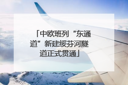 中欧班列“东通道”新建绥芬河隧道正式贯通