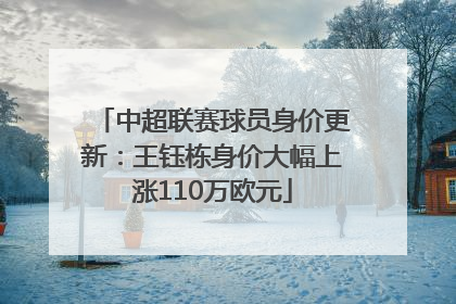 中超联赛球员身价更新：王钰栋身价大幅上涨110万欧元