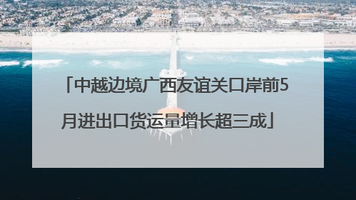 中越边境广西友谊关口岸前5月进出口货运量增长超三成