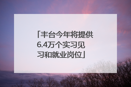 丰台今年将提供6.4万个实习见习和就业岗位