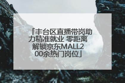 丰台区直播带岗助力精准就业 零距离解锁京东MALL200余热门岗位