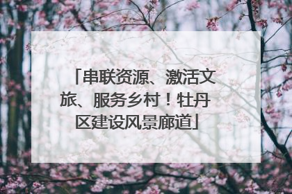 串联资源、激活文旅、服务乡村！牡丹区建设风景廊道