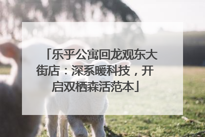 乐乎公寓回龙观东大街店：深系暖科技，开启双栖森活范本