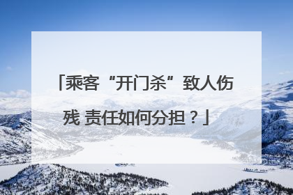 乘客“开门杀”致人伤残 责任如何分担？