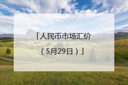 人民币市场汇价（5月29日）