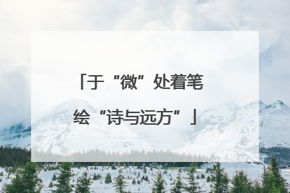 于“微”处着笔 绘“诗与远方”