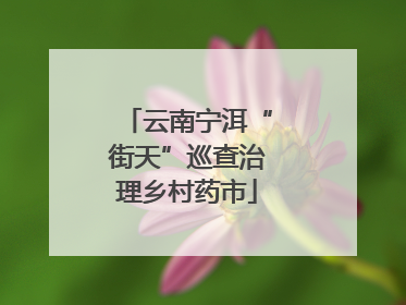 云南宁洱“街天”巡查治理乡村药市