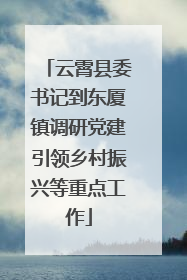 云霄县委书记到东厦镇调研党建引领乡村振兴等重点工作