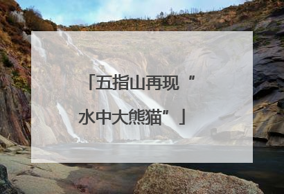 五指山再现“水中大熊猫”