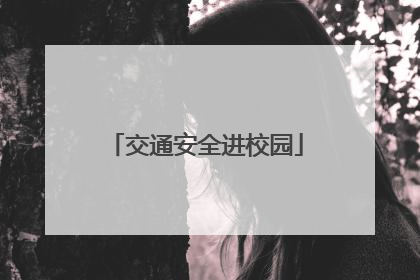 交通安全进校园