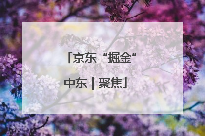 京东“掘金”中东｜聚焦