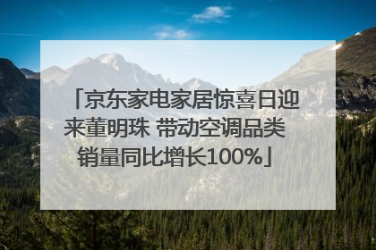 京东家电家居惊喜日迎来董明珠 带动空调品类销量同比增长100%