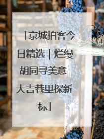 京城拍客今日精选｜烂缦胡同寻美意 大吉巷里探新标