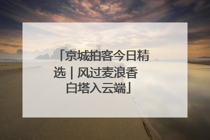 京城拍客今日精选｜风过麦浪香 白塔入云端