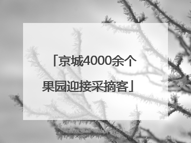 京城4000余个果园迎接采摘客