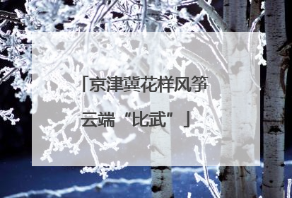 京津冀花样风筝云端“比武”