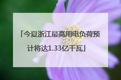 今夏浙江最高用电负荷预计将达1.33亿千瓦