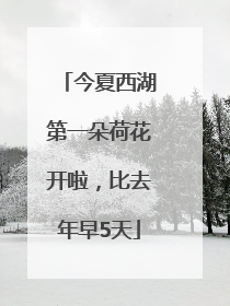 今夏西湖第一朵荷花开啦，比去年早5天