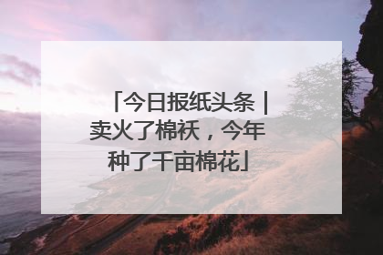 今日报纸头条｜卖火了棉袄，今年种了千亩棉花