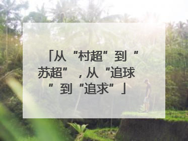 从“村超”到“苏超”，从“追球”到“追求”