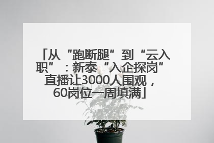 从“跑断腿”到“云入职”：新泰“入企探岗”直播让3000人围观，60岗位一周填满