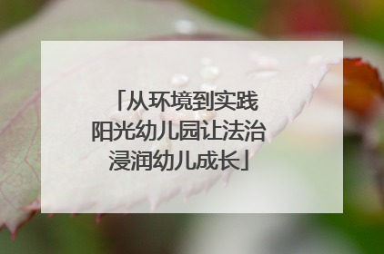 从环境到实践 阳光幼儿园让法治浸润幼儿成长