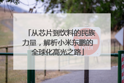 从芯片到饮料的民族力量，解析小米东鹏的全球化高光之路