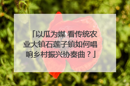 以瓜为媒 看传统农业大镇石莲子镇如何唱响乡村振兴协奏曲？